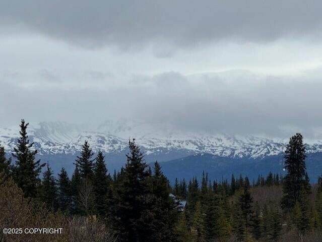 51405 Mossberry Avenue, Homer, AK 99603