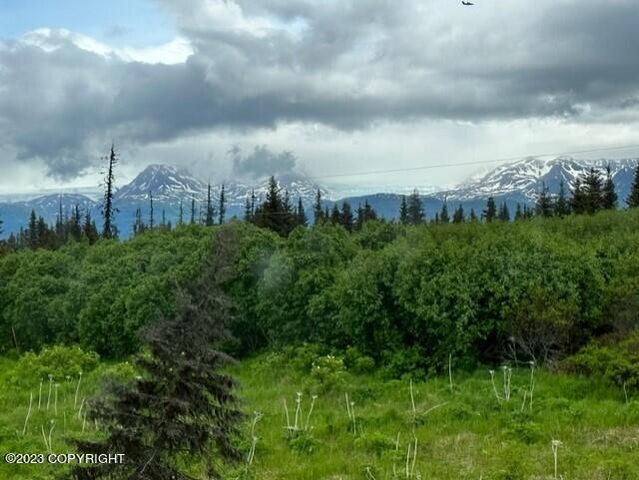 51405 Mossberry Avenue, Homer, AK 99603