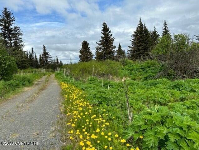 51405 Mossberry Avenue, Homer, AK 99603