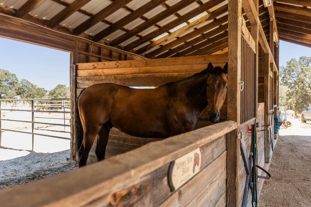 17761 Grizzly Bear Dr, Grass Valley, CA 95949
