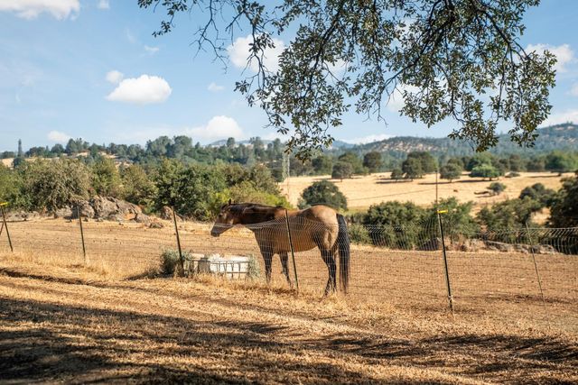 17761 Grizzly Bear Dr, Grass Valley, CA 95949
