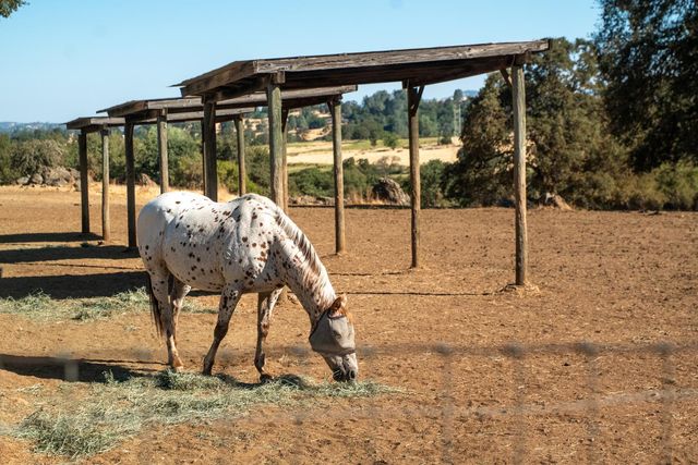 17761 Grizzly Bear Dr, Grass Valley, CA 95949