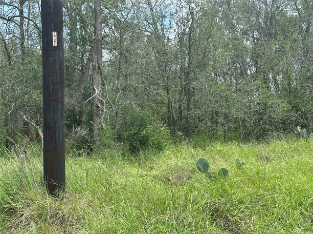 191 Puu Waa Waa LN, Bastrop, TX 78602