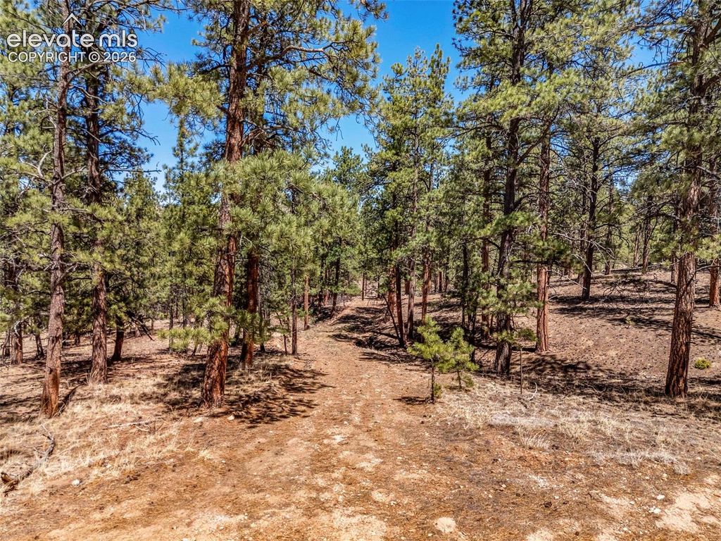185 Sioux Trail, Westcliffe, CO 81252 — exterior