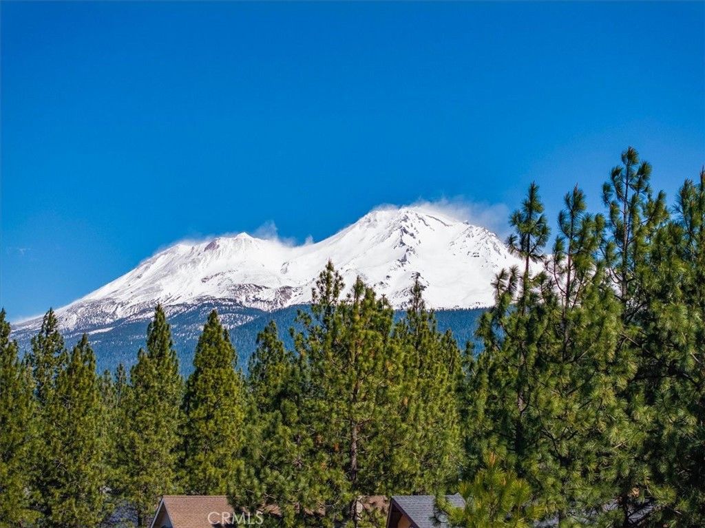 Image 37 of property listing at 818 Deas, Mount Shasta, CA 96067