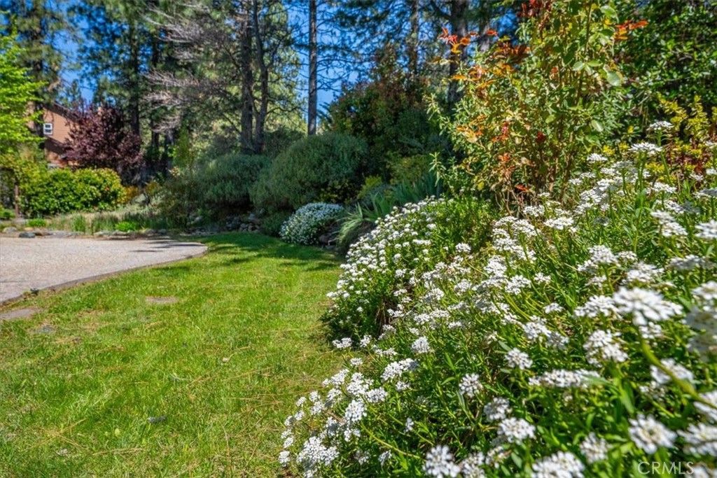 Image 46 of property listing at 818 Deas, Mount Shasta, CA 96067