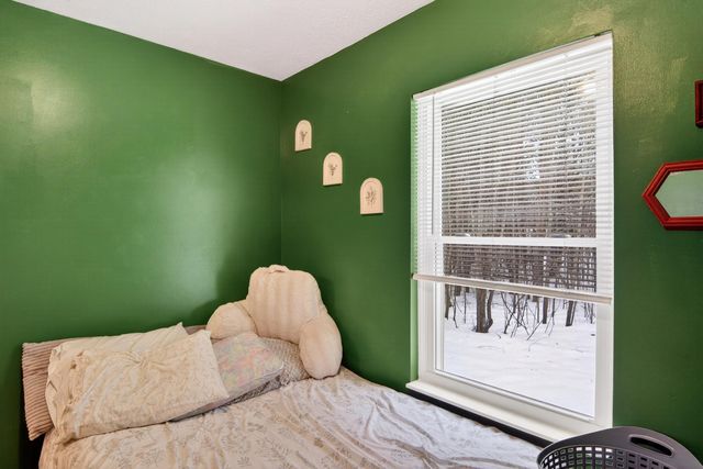 20155 Hatty Lane, Inland Twp, MI 49643