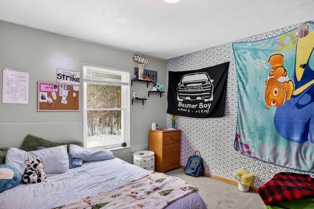 20155 Hatty Lane, Inland Twp, MI 49643