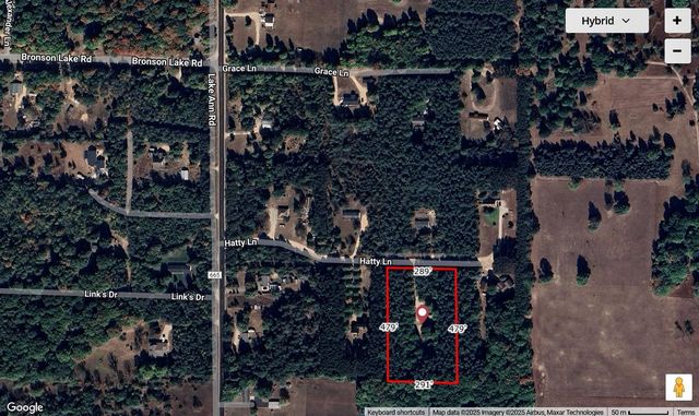 20155 Hatty Lane, Inland Twp, MI 49643