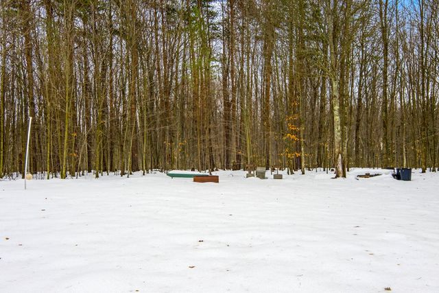 20155 Hatty Lane, Inland Twp, MI 49643