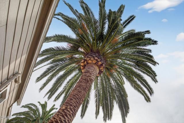 201 S Olive Street, Ventura, CA 93001