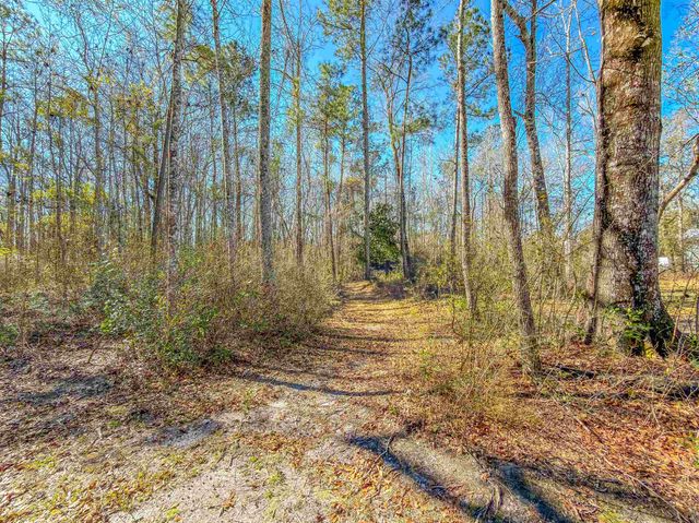 11963 NW Lake Mystic Lee Duggar Road, Bristol, FL 32321