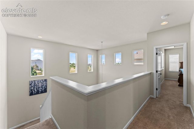 3851 Long Rifle Drive, Castle Rock, CO 80108