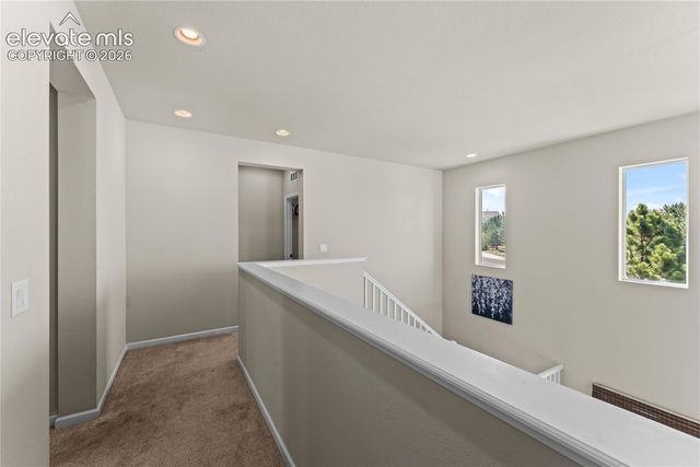 3851 Long Rifle Drive, Castle Rock, CO 80108