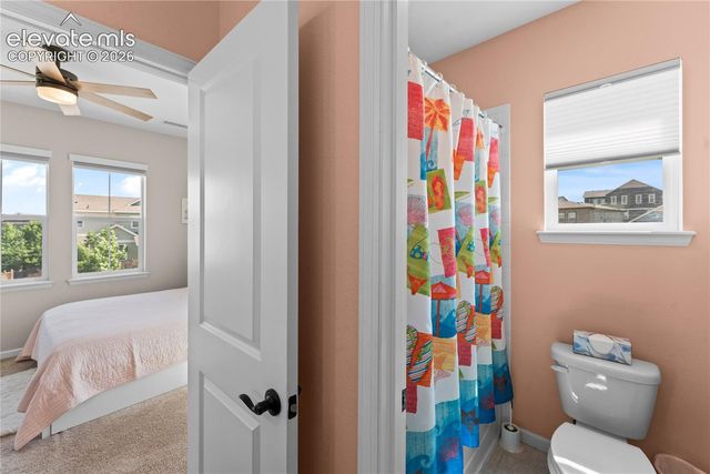 3851 Long Rifle Drive, Castle Rock, CO 80108