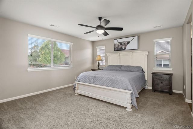 7159 Oasis Drive, Castle Rock, CO 80108