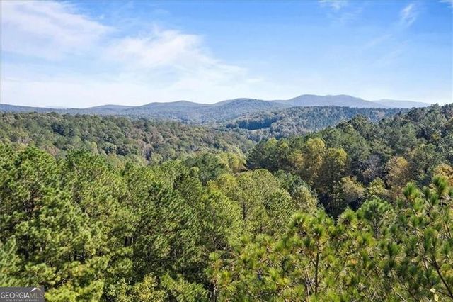 72 Mountain Creek Hollow Drive, Talking Rock, GA 30175