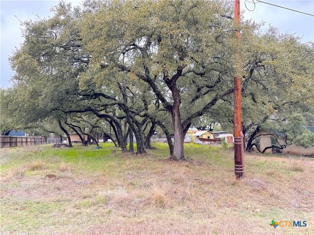 TBD Irene Drive, Canyon Lake, TX 78133