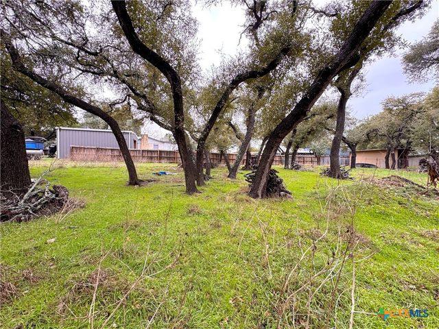 TBD Irene Drive, Canyon Lake, TX 78133