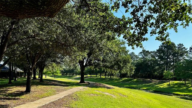 12014 Bolero Point Lane, Houston, TX 77041