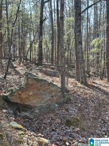 1 MOUNTAIN TOP ROAD, Birmingham, AL 35242