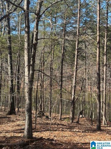 1 MOUNTAIN TOP ROAD, Birmingham, AL 35242