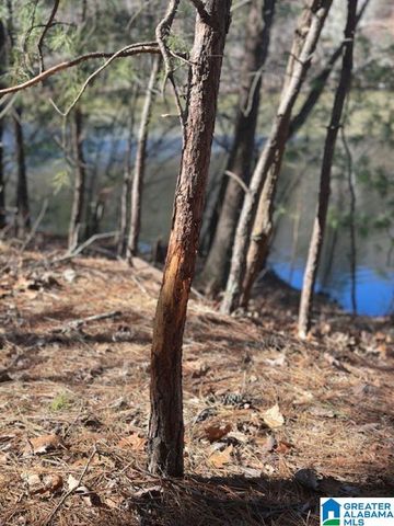 1 MOUNTAIN TOP ROAD, Birmingham, AL 35242