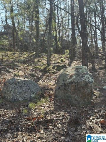 1 MOUNTAIN TOP ROAD, Birmingham, AL 35242