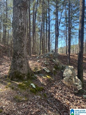 1 MOUNTAIN TOP ROAD, Birmingham, AL 35242