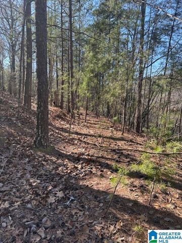 1 MOUNTAIN TOP ROAD, Birmingham, AL 35242