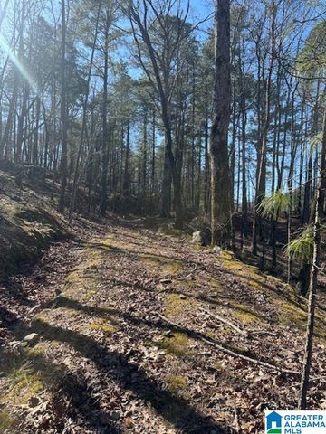 1 MOUNTAIN TOP ROAD, Birmingham, AL 35242