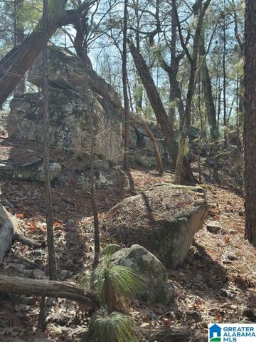 1 MOUNTAIN TOP ROAD, Birmingham, AL 35242