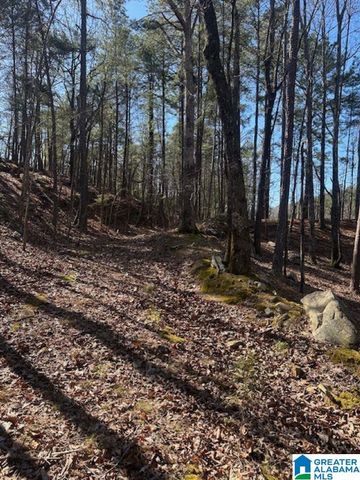 1 MOUNTAIN TOP ROAD, Birmingham, AL 35242