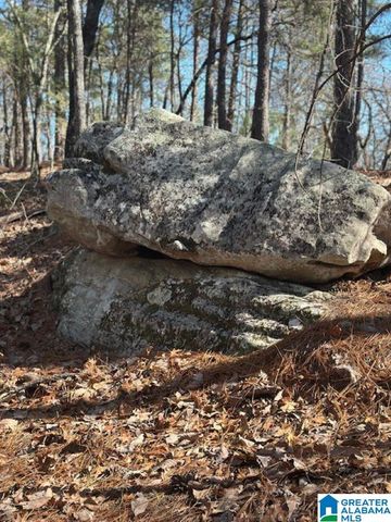 1 MOUNTAIN TOP ROAD, Birmingham, AL 35242