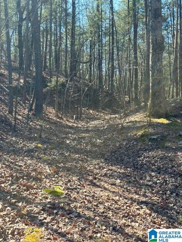 1 MOUNTAIN TOP ROAD, Birmingham, AL 35242