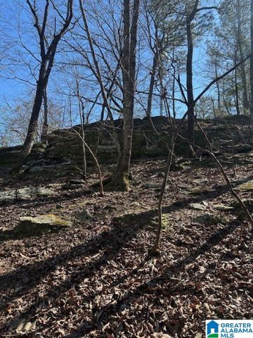 1 MOUNTAIN TOP ROAD, Birmingham, AL 35242