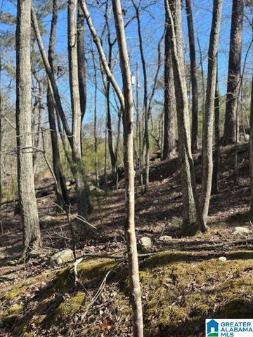 1 MOUNTAIN TOP ROAD, Birmingham, AL 35242