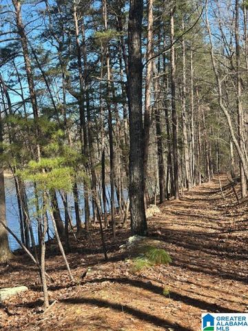 1 MOUNTAIN TOP ROAD, Birmingham, AL 35242