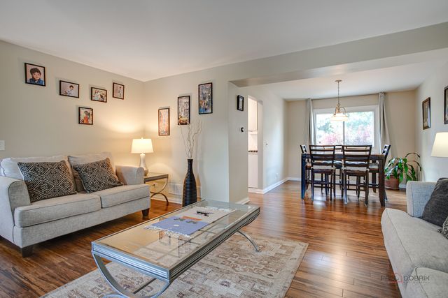 1636 Green River Drive, Schaumburg, IL 60194