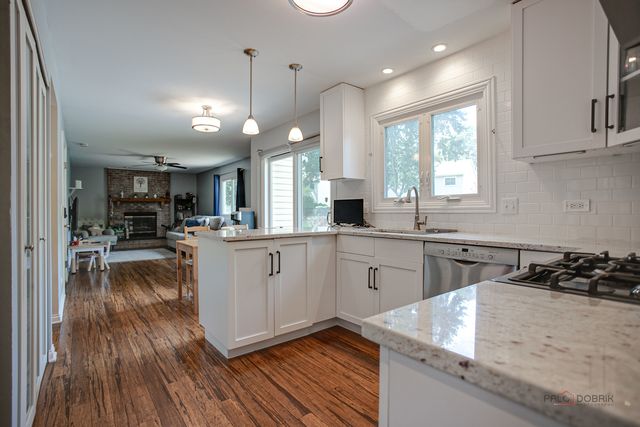 1636 Green River Drive, Schaumburg, IL 60194