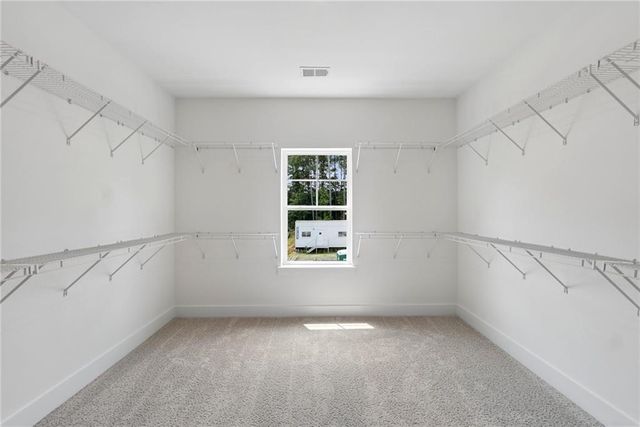 259 Wild Ginger Bend, Woodstock, GA 30188