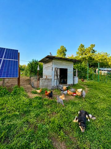 2071 Deer Creek Rd, Linden, TN 37096