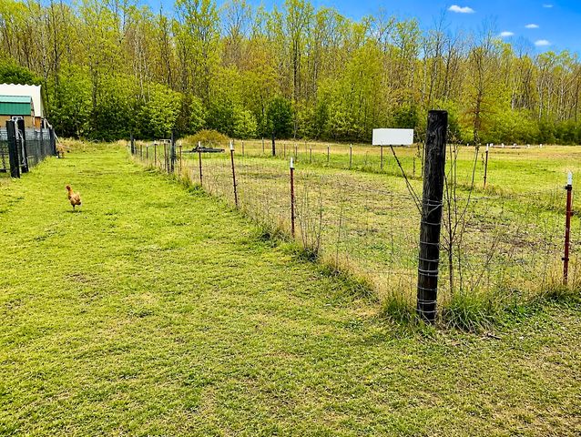 2071 Deer Creek Rd, Linden, TN 37096