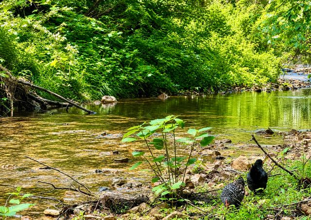 2071 Deer Creek Rd, Linden, TN 37096