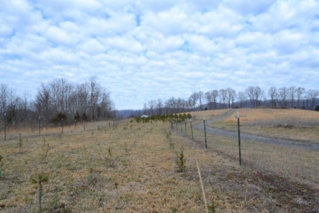 127 Rushing Springs Rd, Monterey, TN 38574