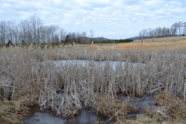 127 Rushing Springs Rd, Monterey, TN 38574