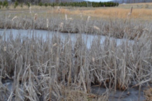 127 Rushing Springs Rd, Monterey, TN 38574