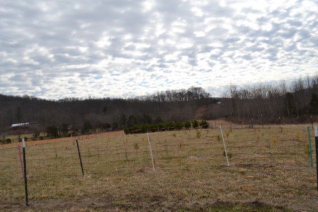 127 Rushing Springs Rd, Monterey, TN 38574