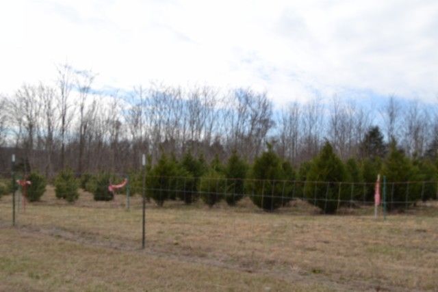 127 Rushing Springs Rd, Monterey, TN 38574