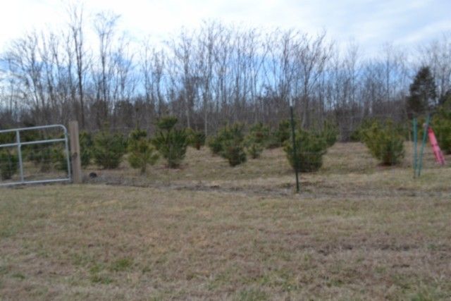 127 Rushing Springs Rd, Monterey, TN 38574